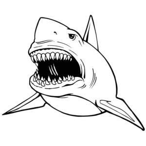 Shark coloring pages printable for free download