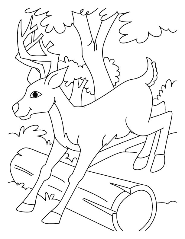 Jumping deer coloring pages download free jumping deer coloring pages for kids best coloring pages