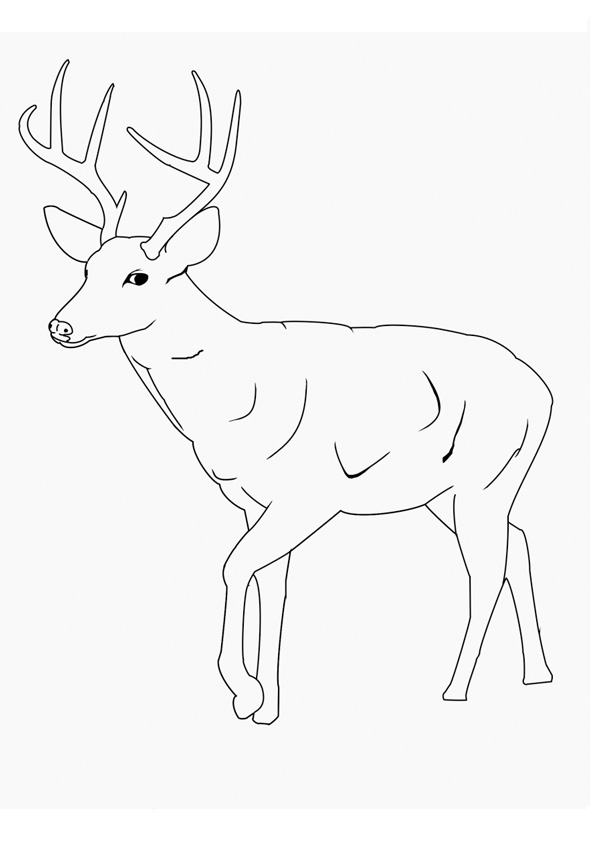 Coloring pages printable dear coloring pages