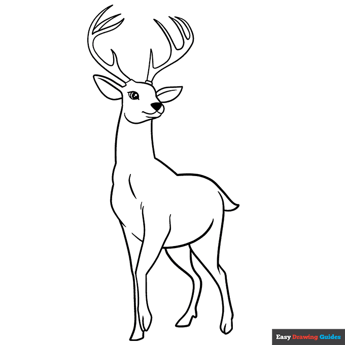 Deer coloring page easy drawing guides