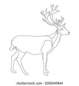Deer coloring page animal coloring page stock vector royalty free