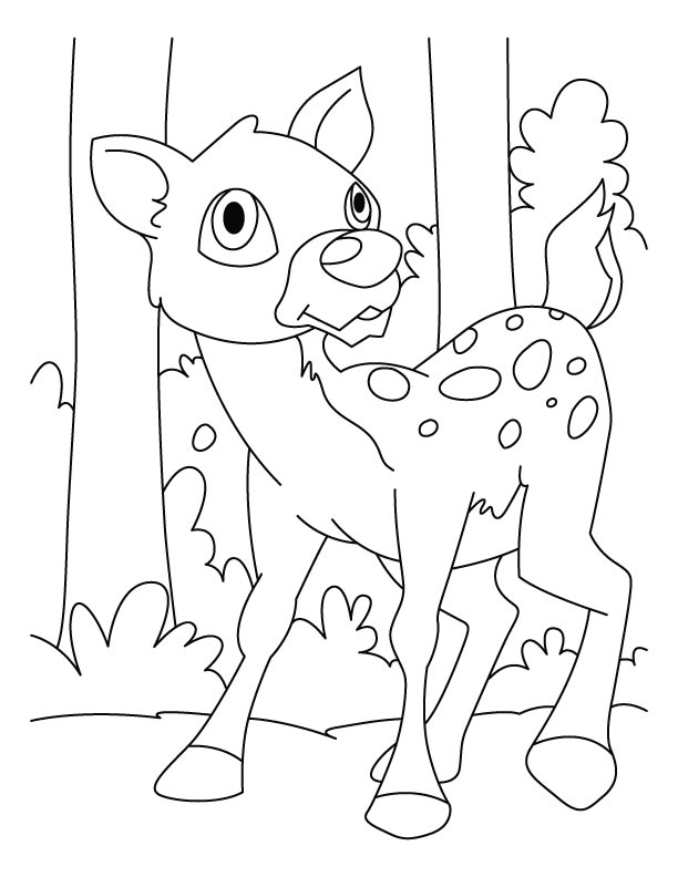 Fearful deer coloring pages download free fearful deer coloring pages for kids best coloring pages