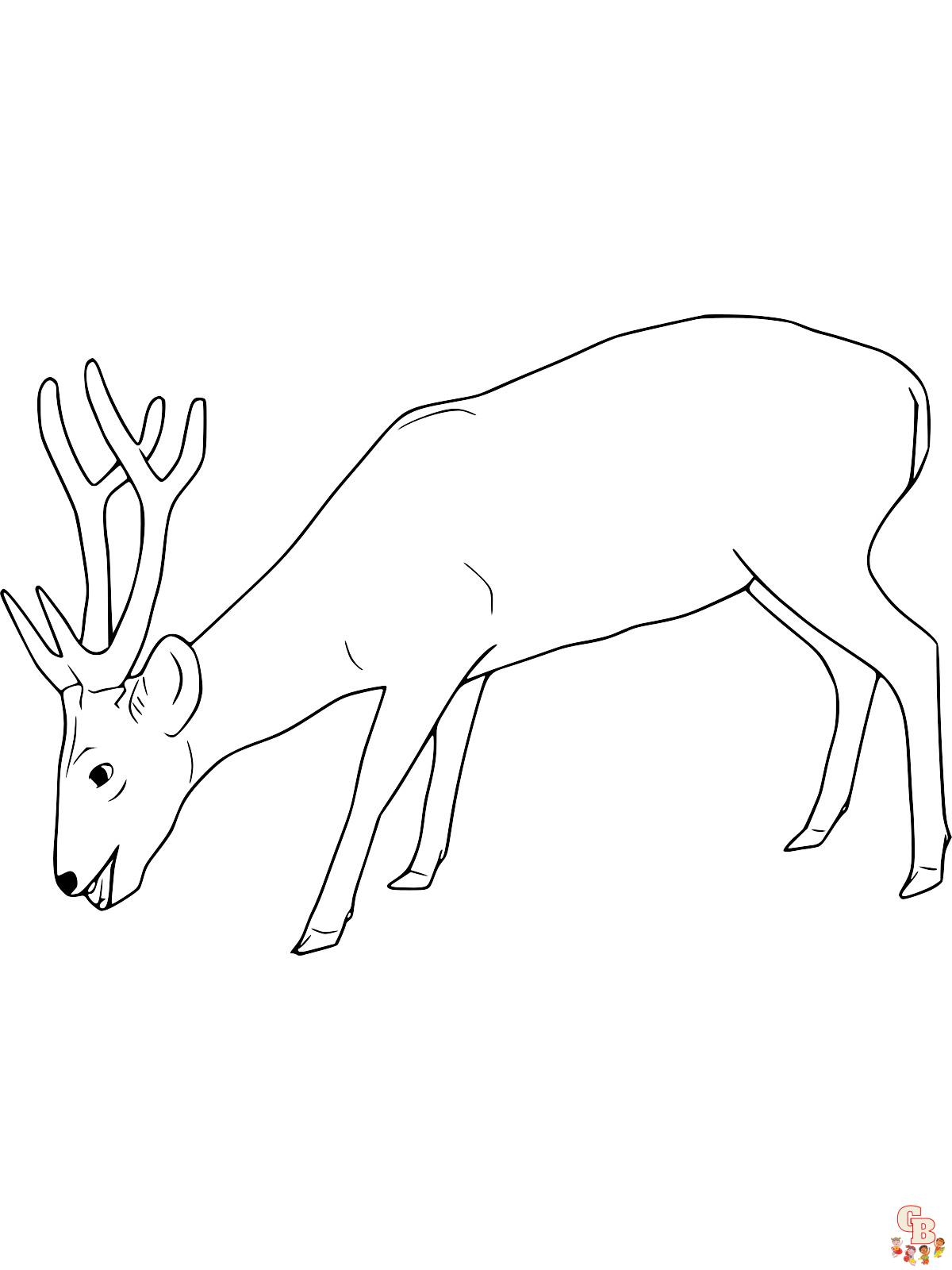 Discover the beauty of red deer printable coloring pages