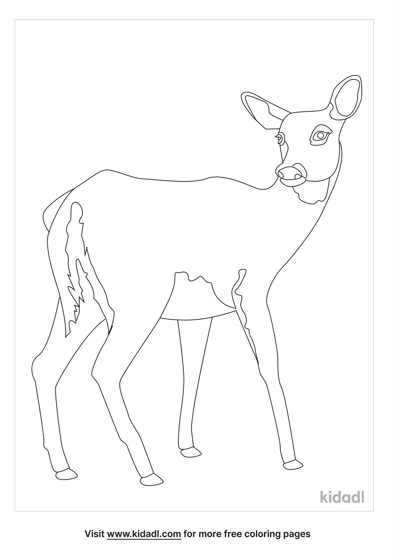 Free white tailed deer doe coloring page coloring page printables
