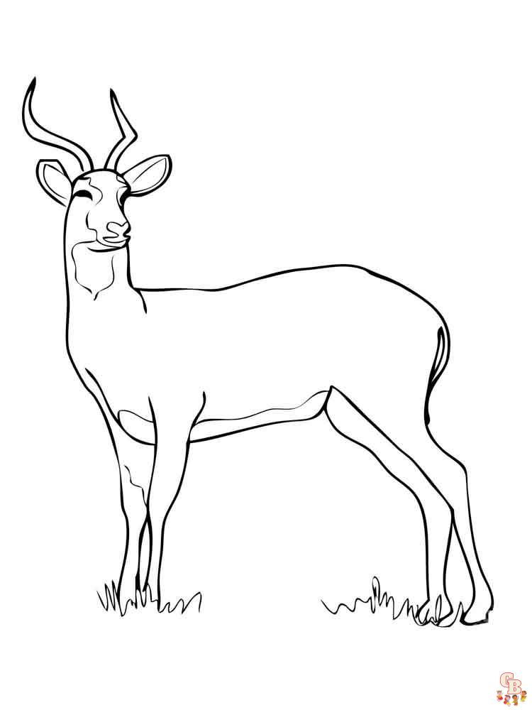 Antelope coloring pages free printable sheets for kids to enjoy