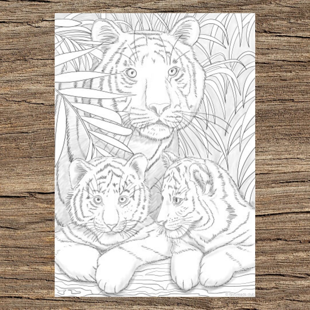 Tigers printable adult coloring page from favoreads coloring book pages for adults and kids coloring sheets coloring designs