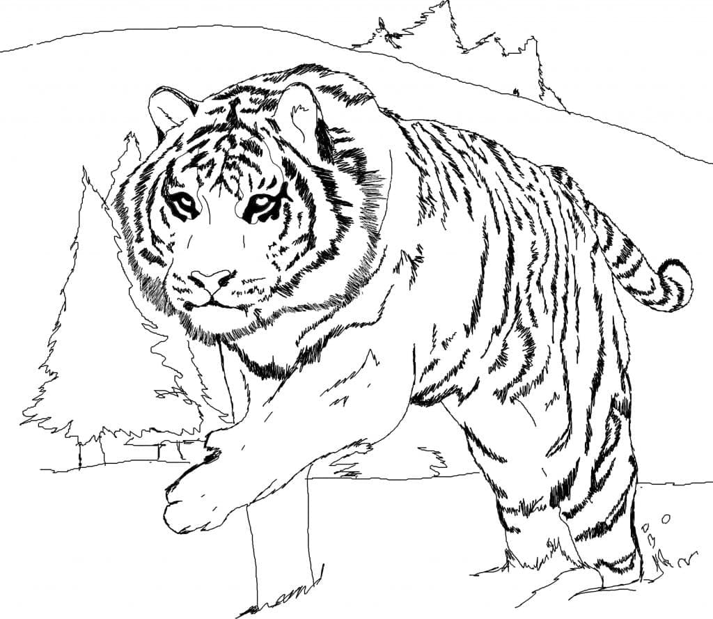 Tiger for kids coloring page