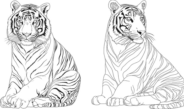 Thousand coloring page tiger royalty