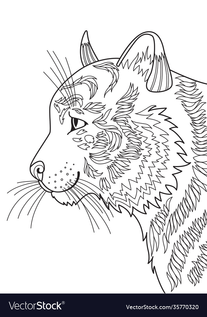 Tiger doodle coloring book page dlsck and white vector image