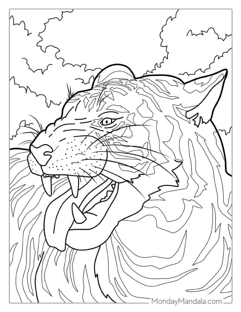 Tiger coloring pages free pdf printables