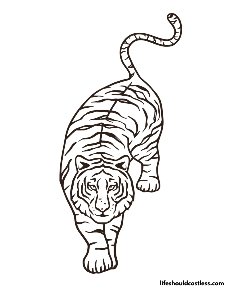 Tiger coloring pages free printable pdf templates