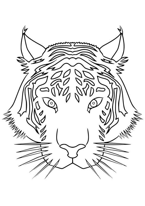 Tiger drawing for coloring page free printable nurieworld