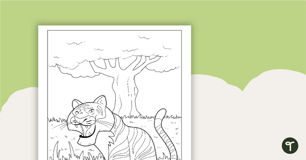 Tiger coloring sheet teach starter