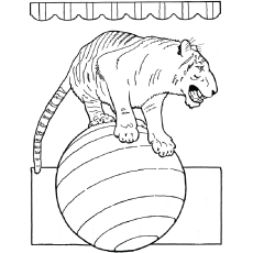 Top free printable tiger coloring pages online