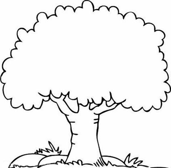 Tree coloring pages