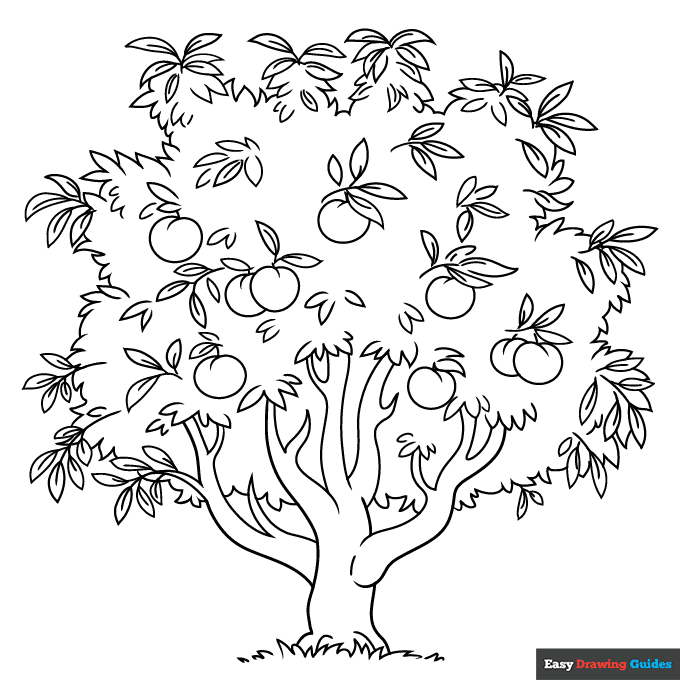 Peach tree coloring page easy drawing guides