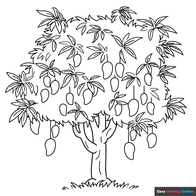 Mango tree coloring page easy drawing guides