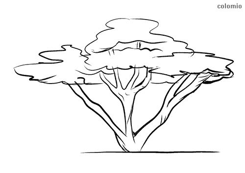 Trees coloring pages free printable tree coloring sheets