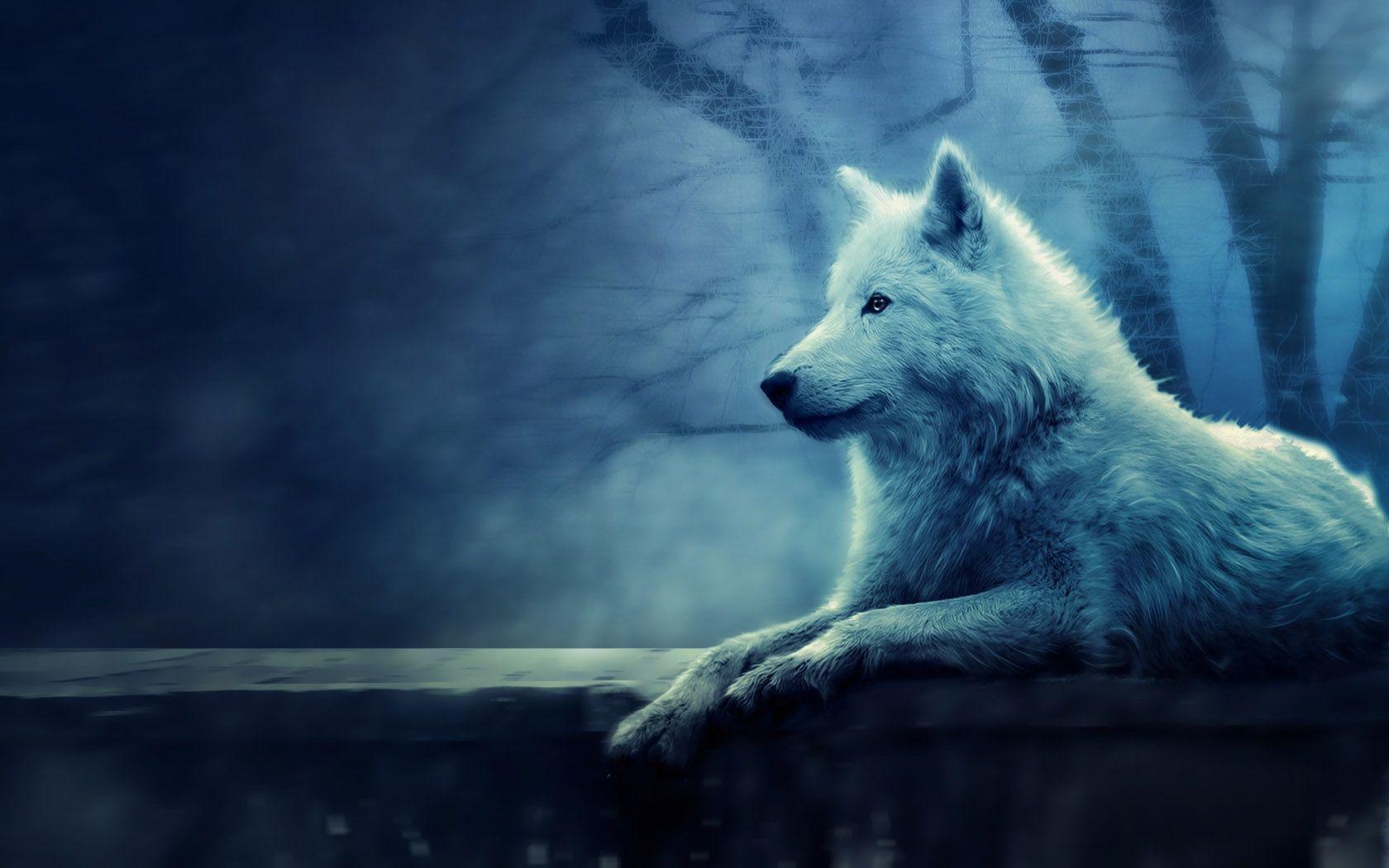 White wolf desktop wallpapers