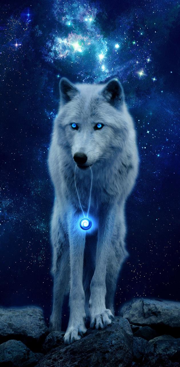 White wolf wallpaper by georgekev