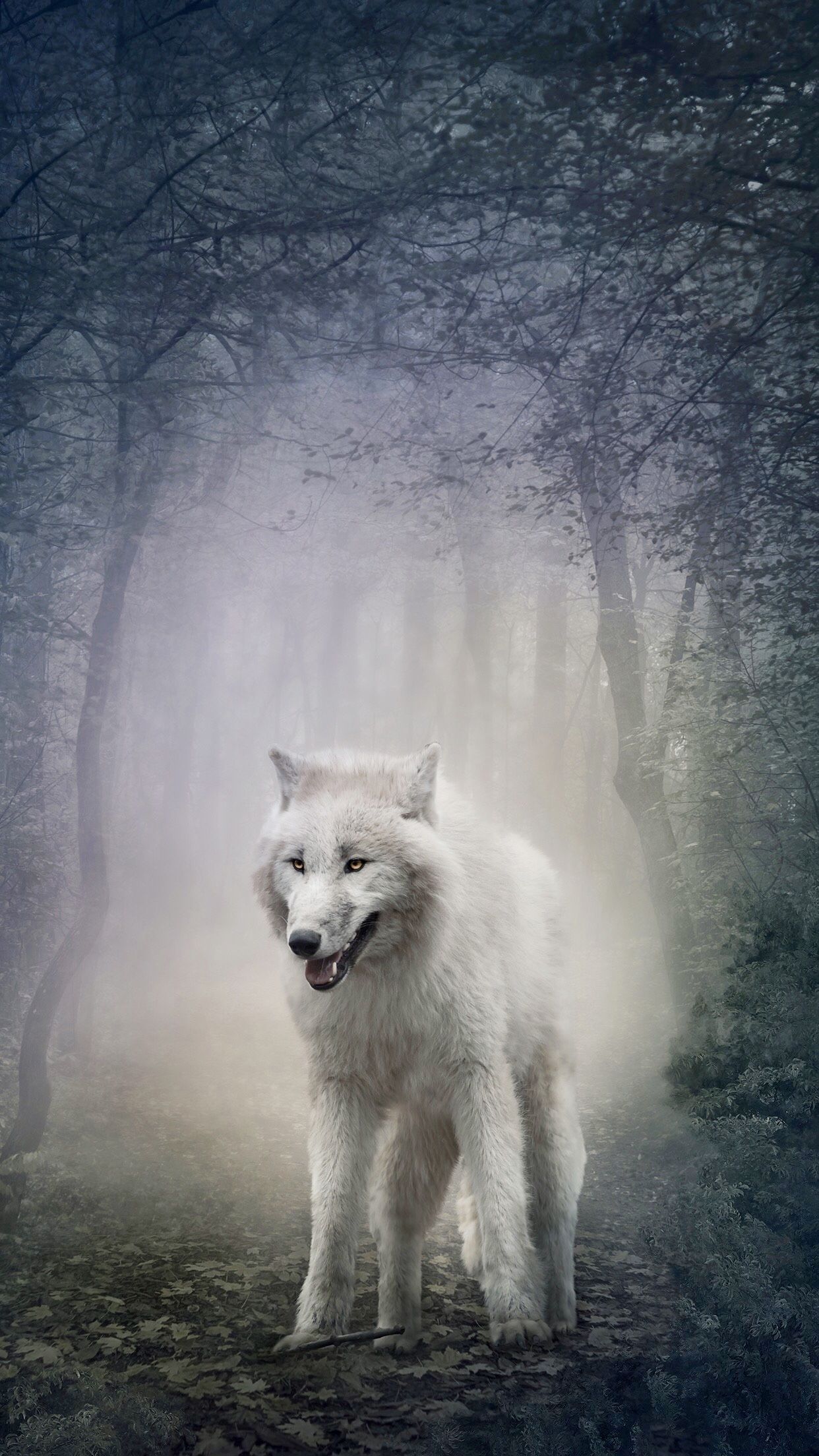 White wolf phone wallpapers