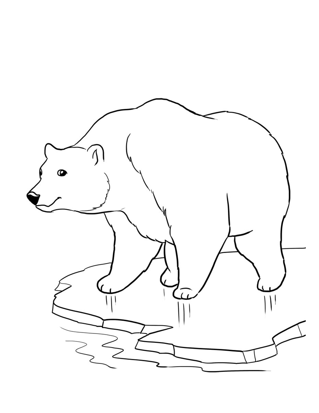 Free printable bear coloring pages for kids