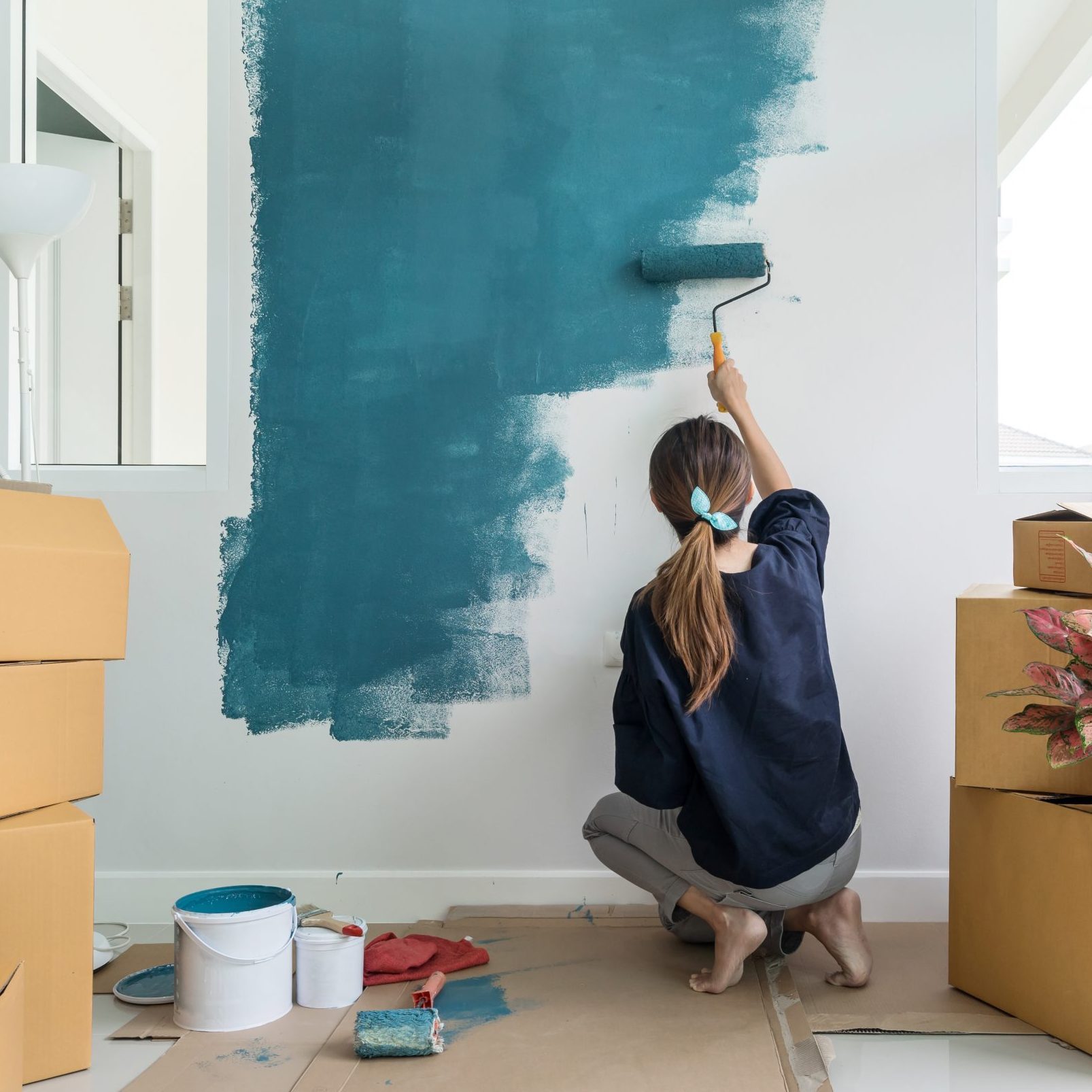 Best paints for interior walls the family handyman