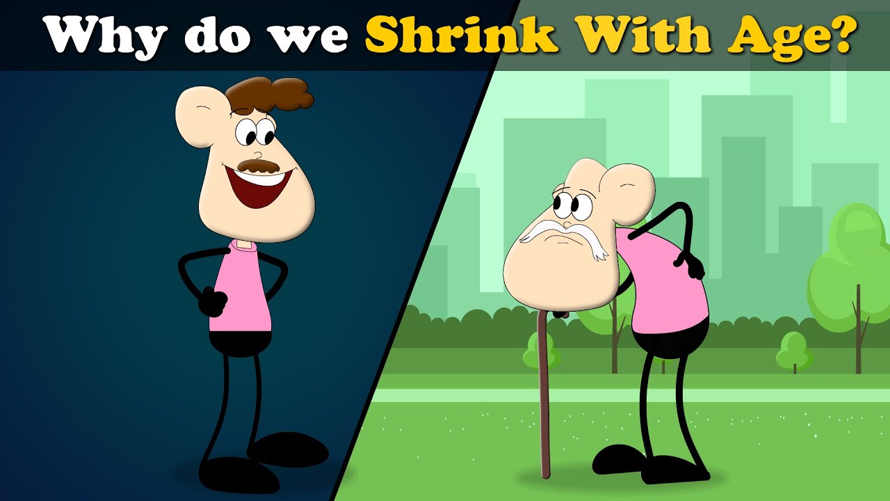 Why do we shrink with age more videos aumsum kids science education children