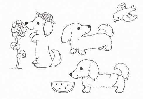 Free vectors miniature dachshund coloring book