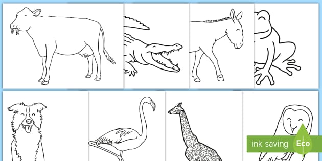 Animal coloring sheets