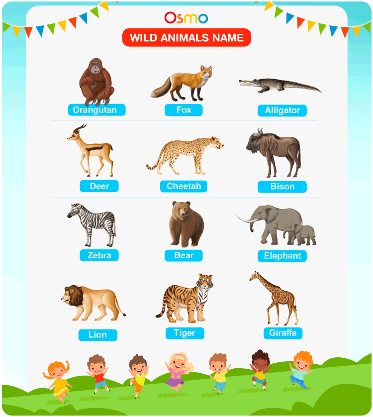 Wild animals name list of popular names of wild animals