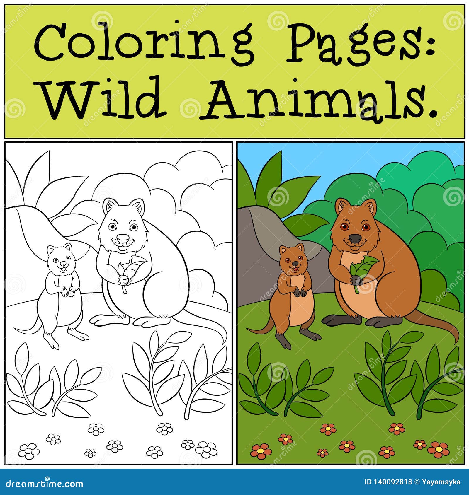 Animals wild worksheet stock illustrations â animals wild worksheet stock illustrations vectors clipart