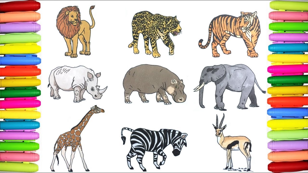 Top free printable wild animals coloring pages online