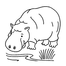 Top free printable wild animals coloring pages online