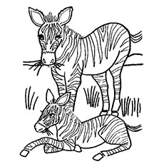 Top free printable wild animals coloring pages online