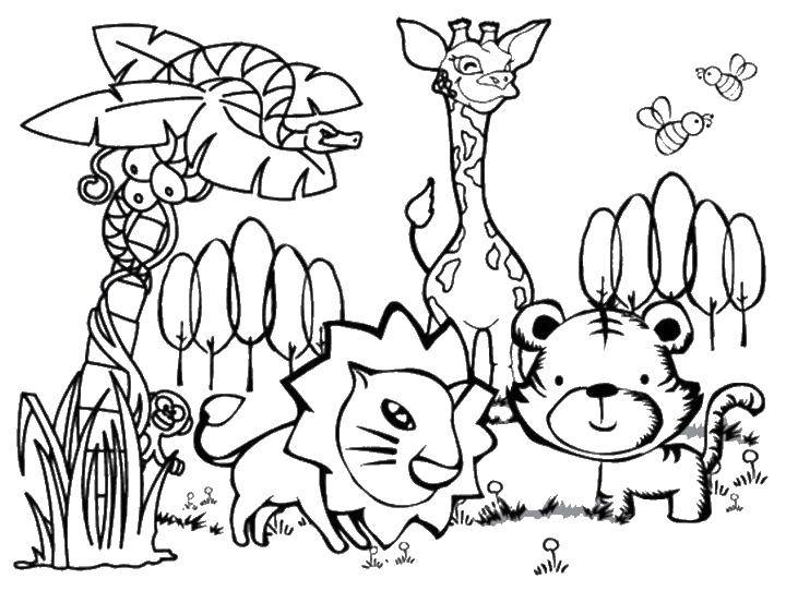 Online coloring pages coloring page animals wild animals download print coloring page