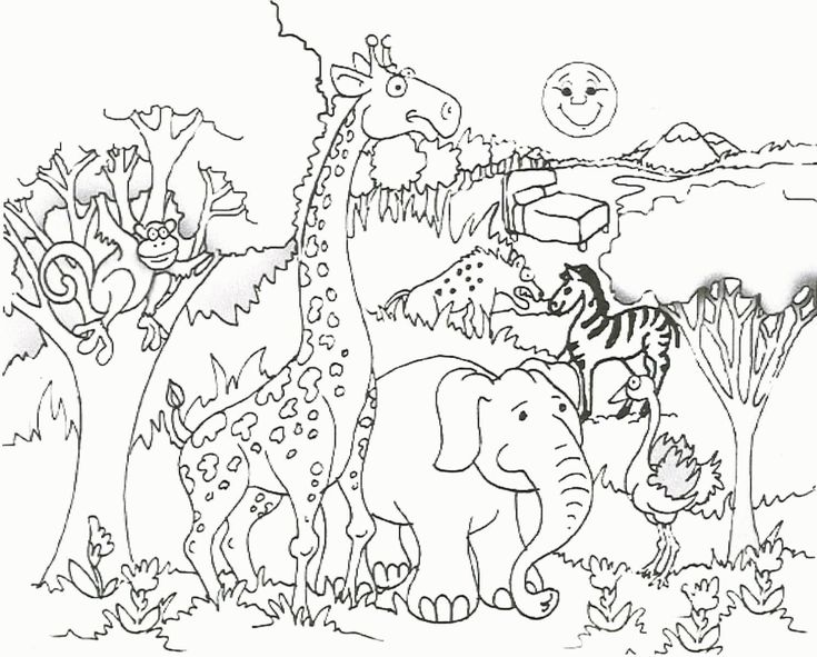 Wild animal coloring pages â coloringk giraffe coloring pages zoo animal coloring pages jungle coloring pages