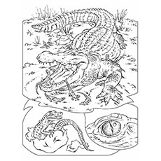 Top free printable wild animals coloring pages online