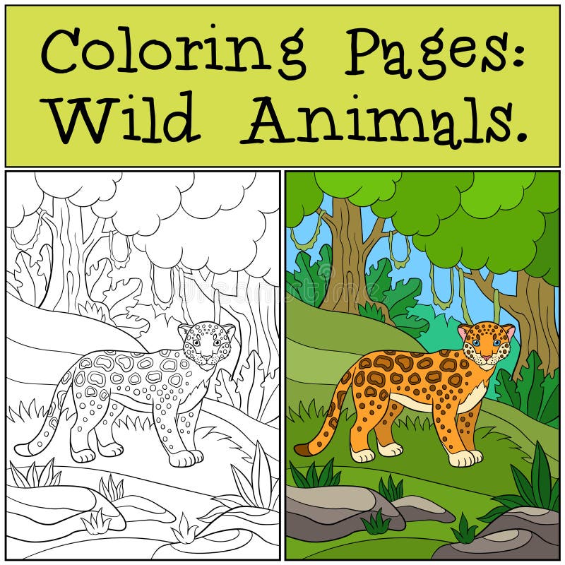 Coloring pages wild animals stock illustrations â coloring pages wild animals stock illustrations vectors clipart