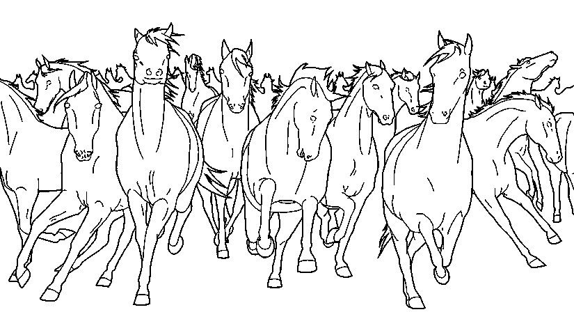 Horse coloring pages horse coloring coloring pages