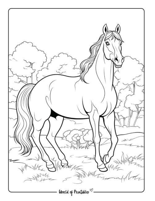 Horse coloring pages for kids adults