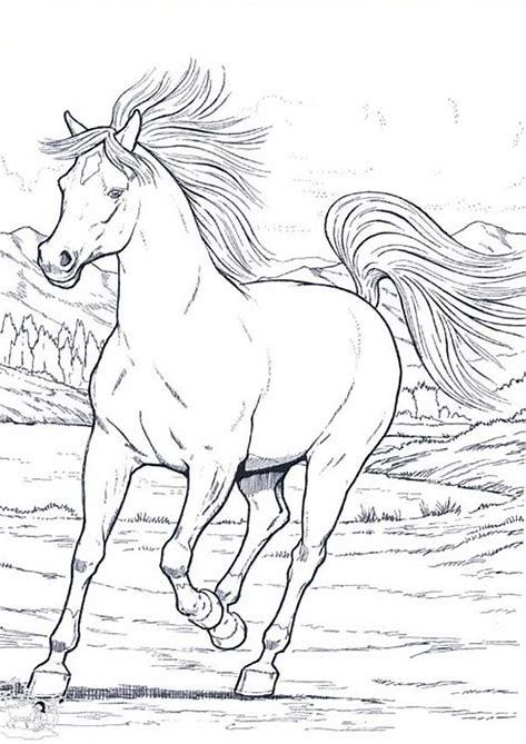 Wild horse coloring pages iãin resim sonucu horse coloring horse coloring pages horses