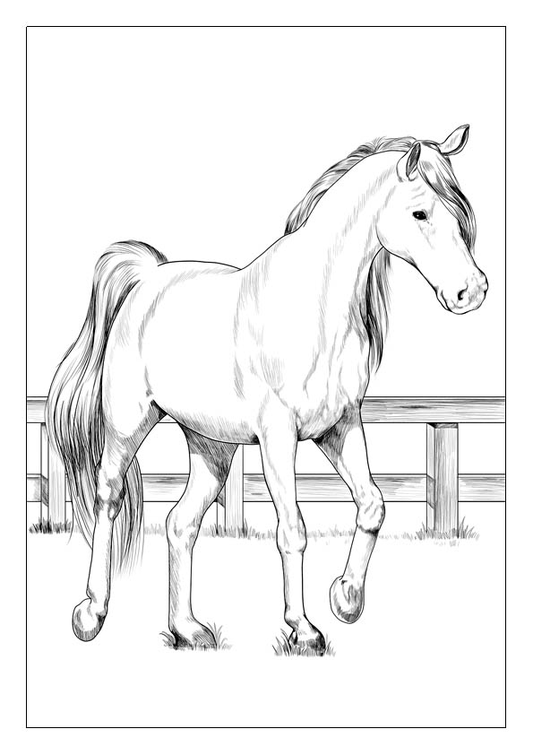 Horse coloring pages free printable coloring sheets for kids