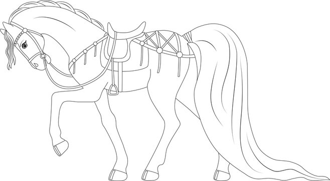 Horse coloring page images â browse photos vectors and video