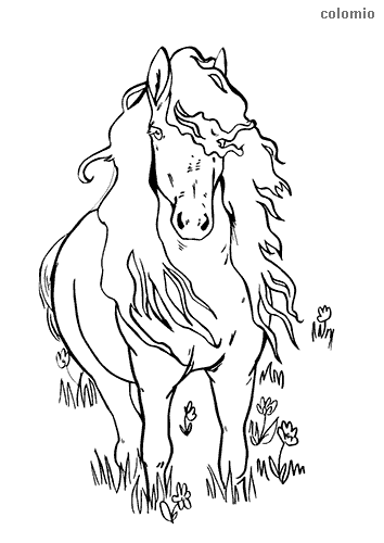 Horses coloring pages free printable horse coloring sheets