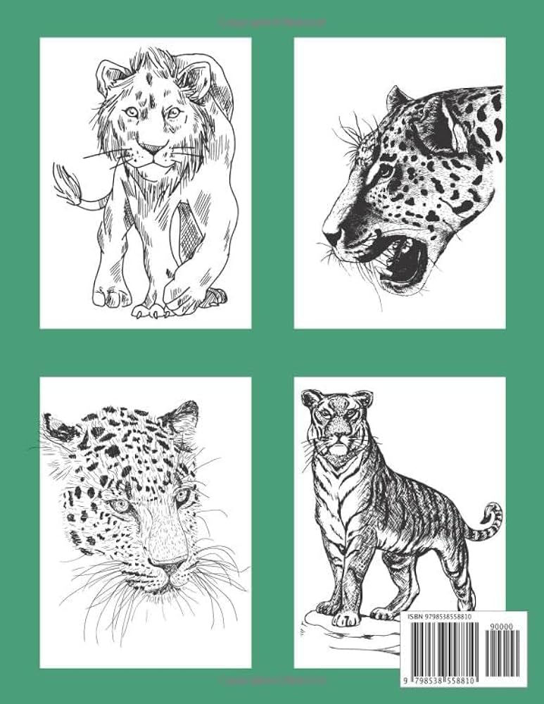 Wild cats coloring book big warriors of the world cat designs for kids and adults corner cheerful books