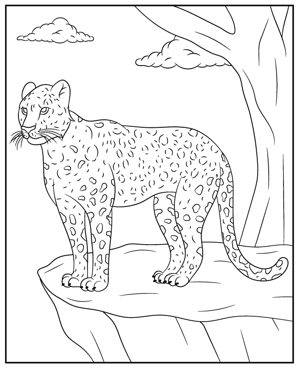 Leopard coloring page wild cat