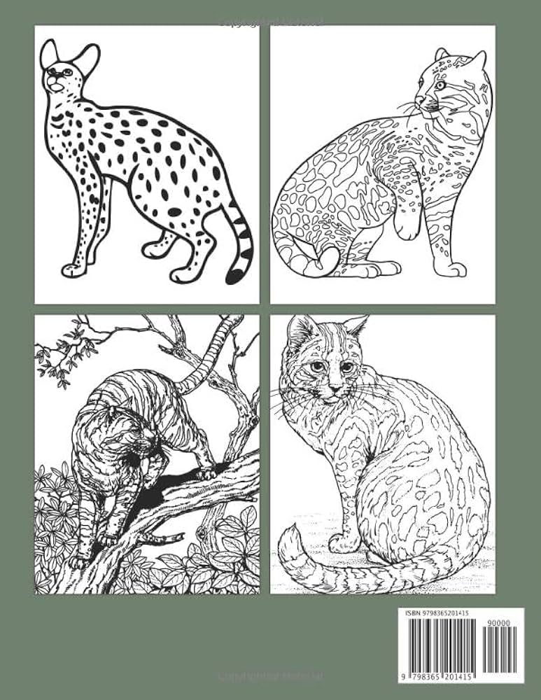 Wild cats coloring book great coloring pages with incredible illustration of wild cats to unleash creativity energy gift idea for all ages by joy rainbow