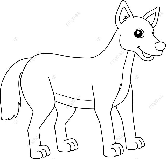 Dingo animal coloring page isolated for kids carnivore wildlife wild animal vector car drawing animal drawing ring drawing png and vector with transparent background for free download