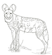 Wild dogs coloring pages free coloring pages